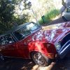 IMG-20240428-WA0123