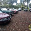 IMG-20240828-WA0053