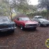 IMG-20240828-WA0055
