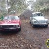 IMG-20240828-WA0061