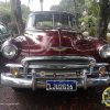 IMG-20240828-WA0074