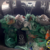 IMG-20241117-WA0025