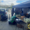IMG-20241117-WA0028
