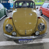 IMG-20241119-WA0181