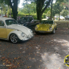 IMG-20250126-WA0091