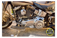 MBF5507